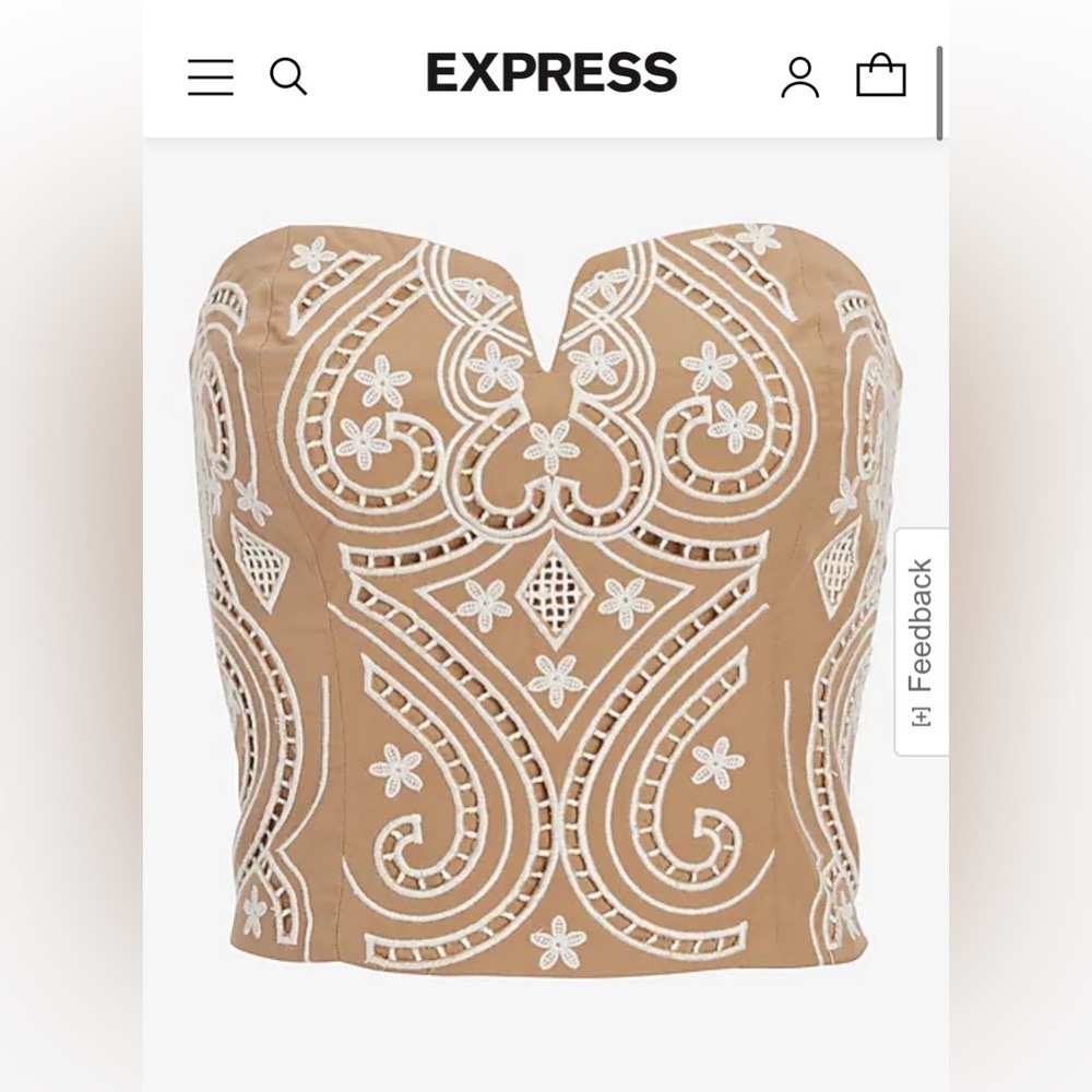 Express Embroidered Eyelet V-Wire Tube Top